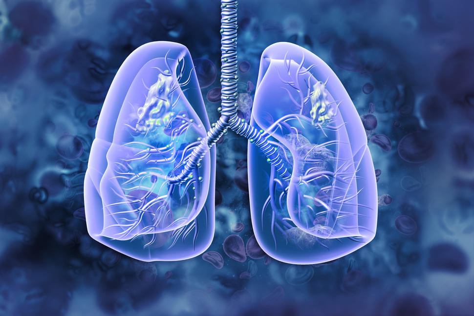 illustration of a pair of lungs