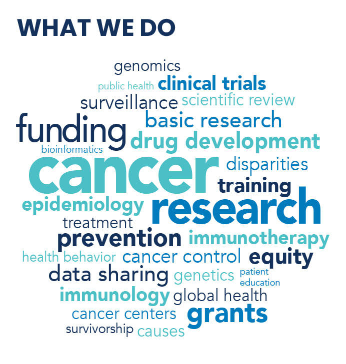 NCI's Role in Cancer Research - NCI