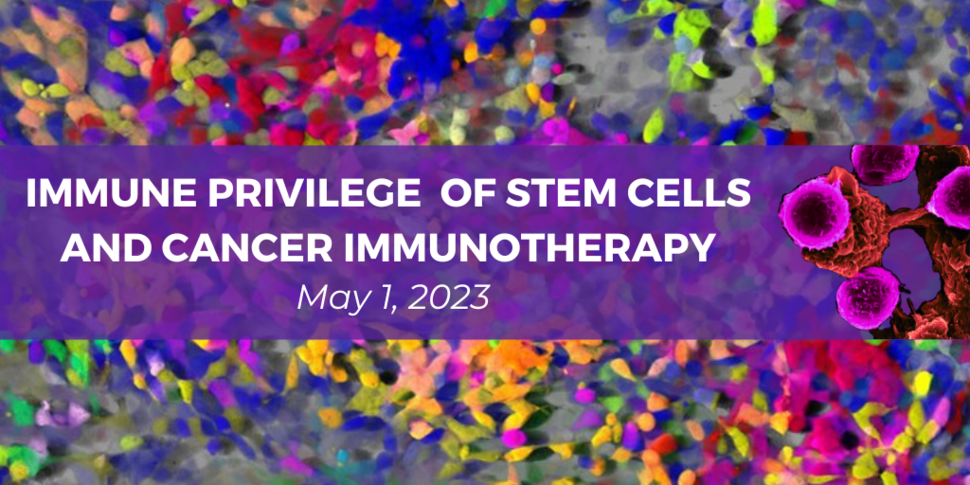 Banner for the Immune Privilege of Stem Cells and Cancer Immunotherapy Workshop (May 1, 2023) with images of stem cell clonal tracking and dendritic cells interacting with T cells.