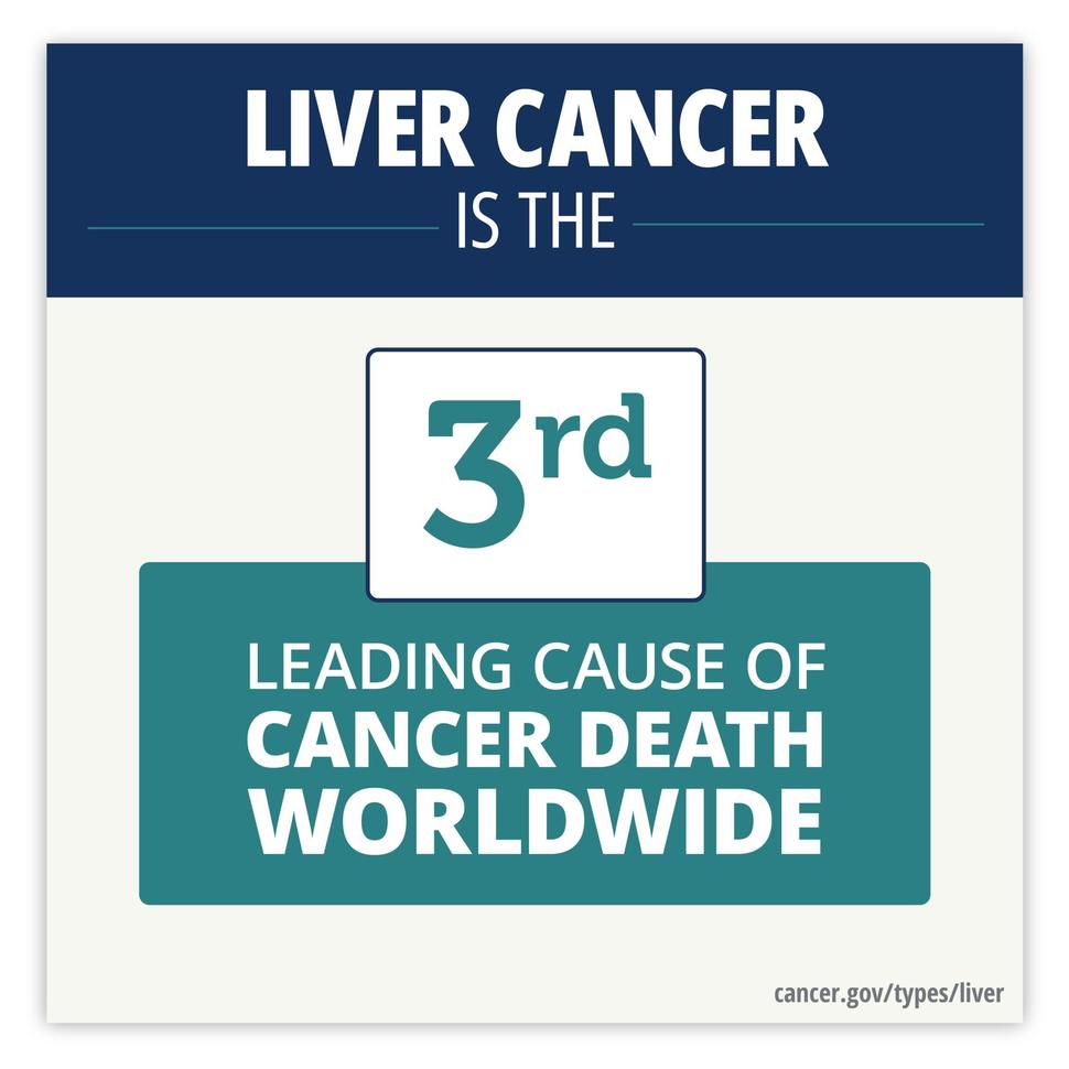 White text on blue background stating "liver cancer is the 3rd leading cause of cancer death worldwide."
