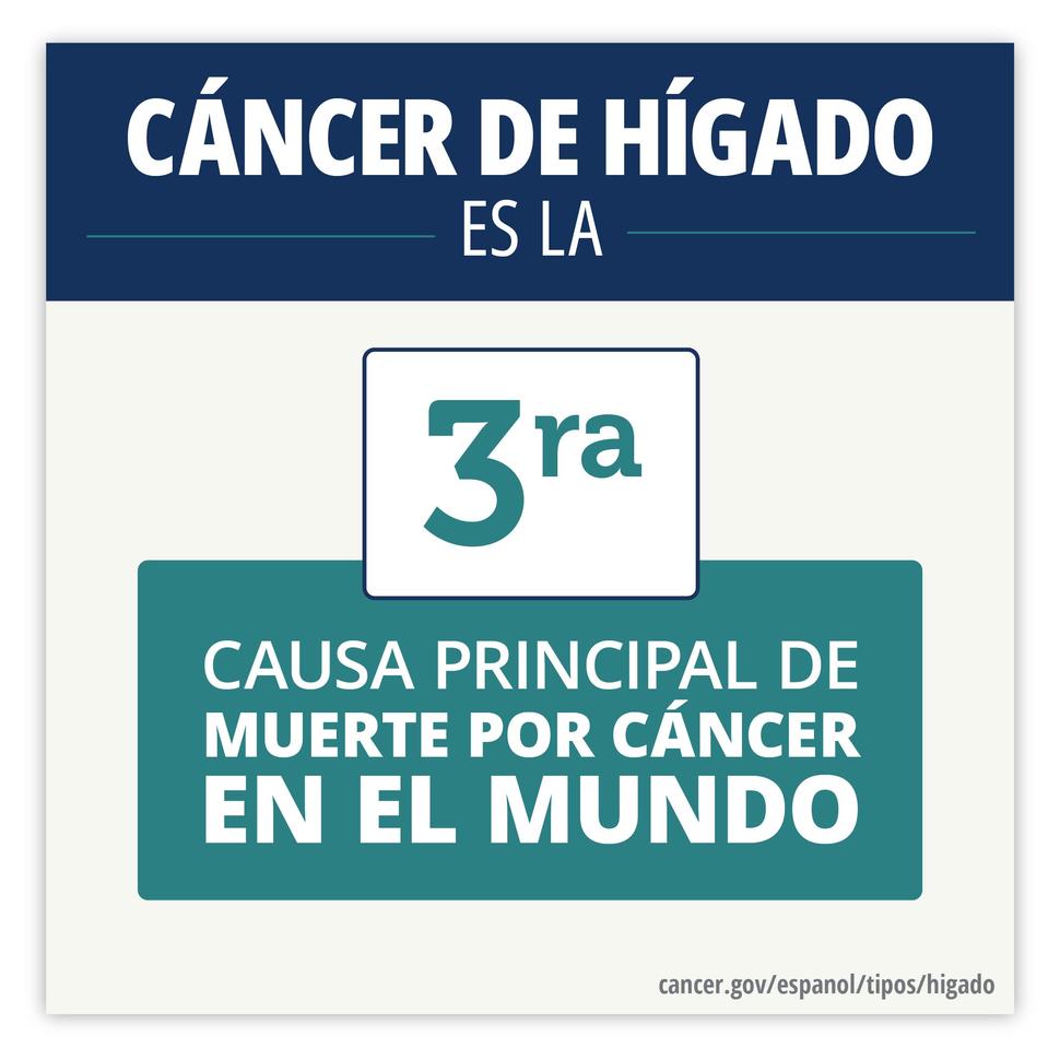 El cáncer de hígado es la tercera causa principal de muerte por cáncer en el mundo