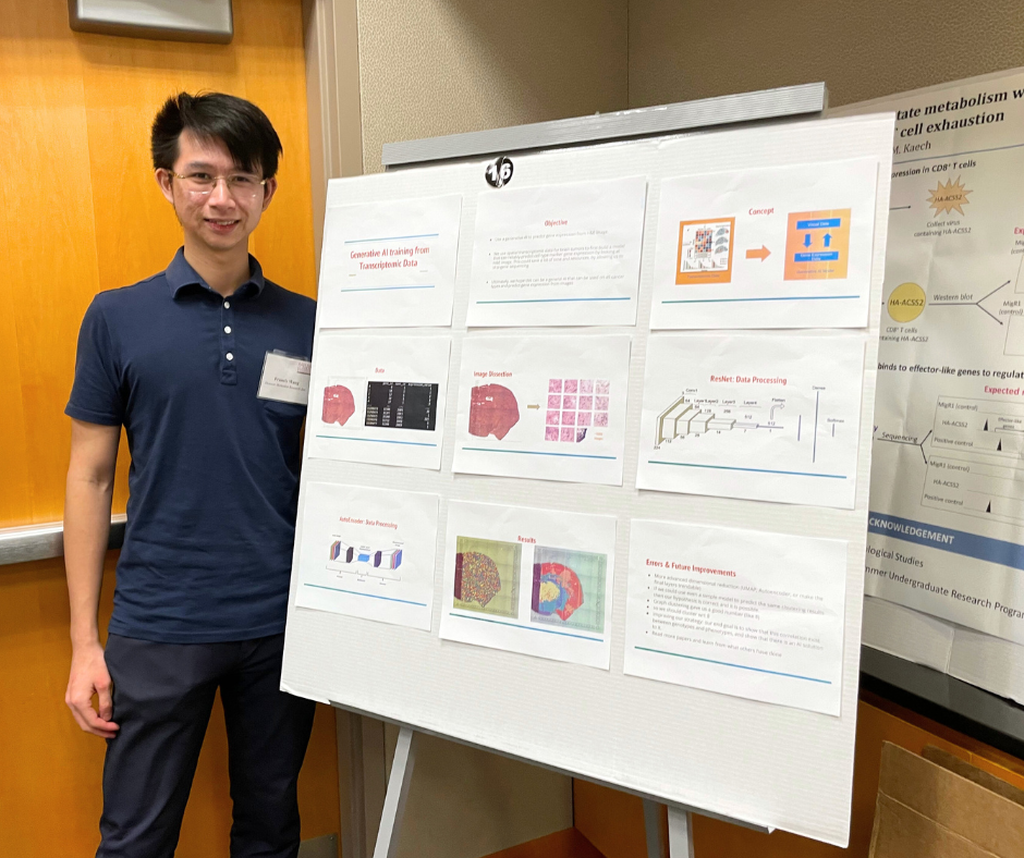 Photo of Fengyuan Wang presenting a poster at the 2023 NCI Division of Cancer Biology Summer Undergraduate Research Program Conference