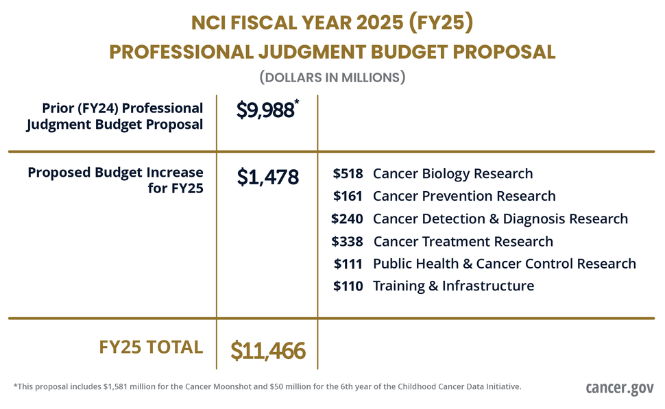 Table showing prior FY24, proposed FY25, and total FY25 budget amounts. Dollars in millions. The proposed FY25 amount is broken up by research area.