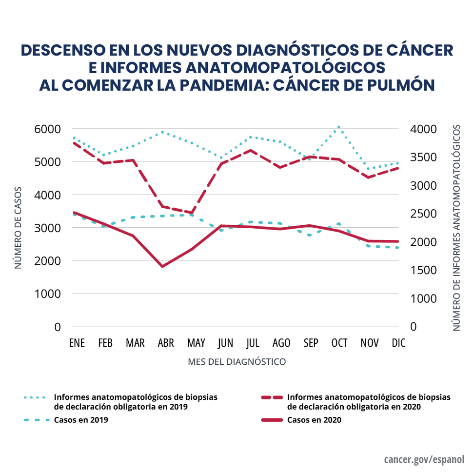 Gráfica en la que se observa un descenso en los nuevos diagnósticos de cáncer e informes anatomopatológicos a comienzos de 2020