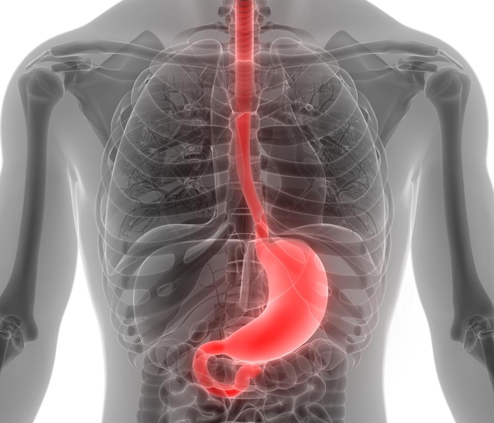 A conceptual imaging scan of a chest with the esophagus and stomach highlighted in red