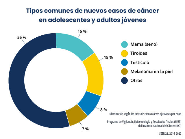 Gráfico que indica que los tipos de cáncer comunes en los adolescentes y adultos jóvenes son: mama, tiroides, testículo, melanoma en la piel y otros.