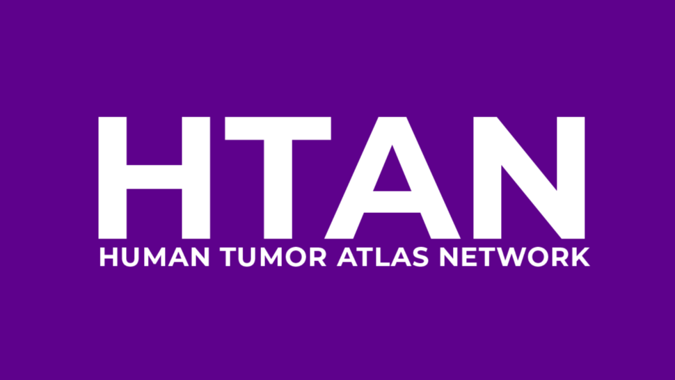 Human Tumor Atlas Network (HTAN) banner