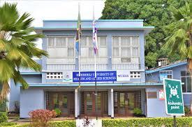 Muhimbili University of Health and Allied Sciences