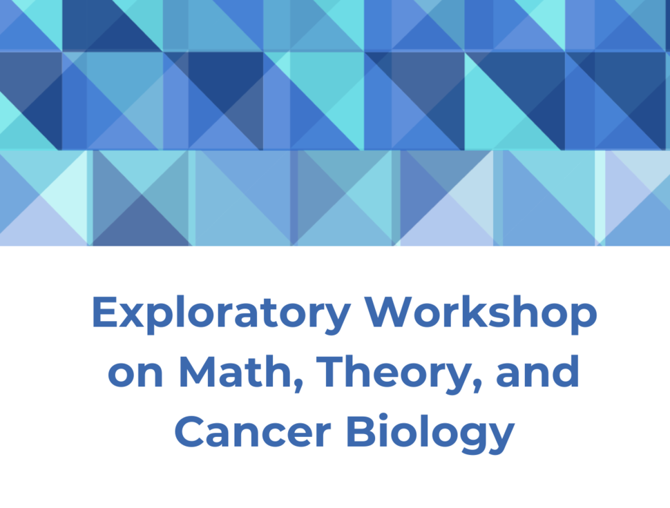 Image of symmetric square shapes; Exploratory Workshop on math, Theory, and Cancer Biology; march 11 - 12, 2024