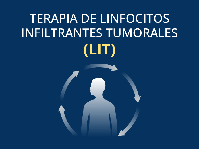 Terapia de linfocitos infiltrantes tumorales o LIT