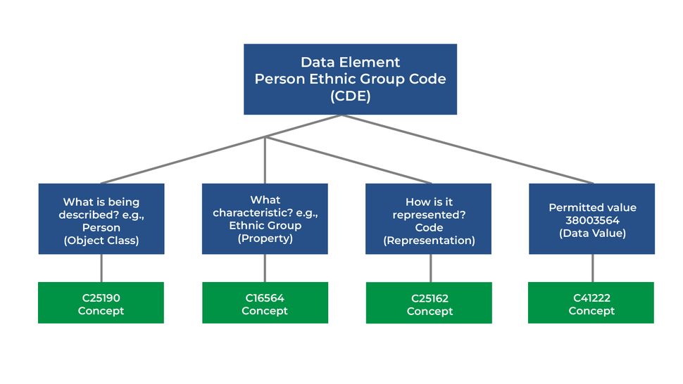 A flow chart of Data Element Person Ethnic Group Code (CDE)