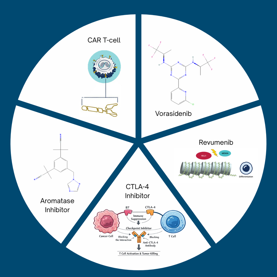 A pie chart with 5 equal slices. The pieces have chemical structures of vorasidenib and an aromatase inhibitor, and image showing the mechanism of revumenib, a cartoon CAR T-cell, and a cartoon showing a CTLA-4 inhibitor