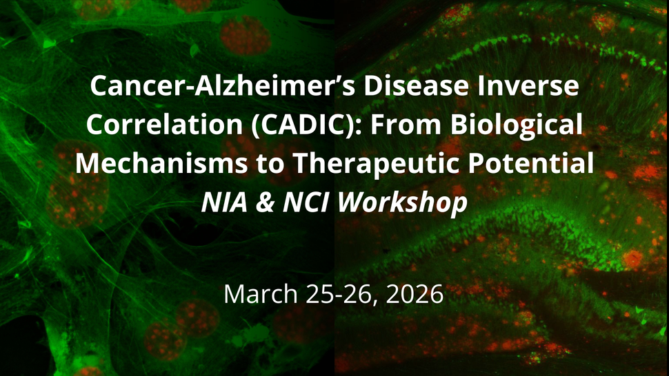 Cancer-Alzheimer's Disease Inverse Correlation (CADIC) Virtual Workshop banner with immunofluorescent images of cancer cells (left) and the brain from a mouse model of Alzheimer's disease. 