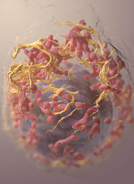 Estructura tridimensional de una célula de melanoma.