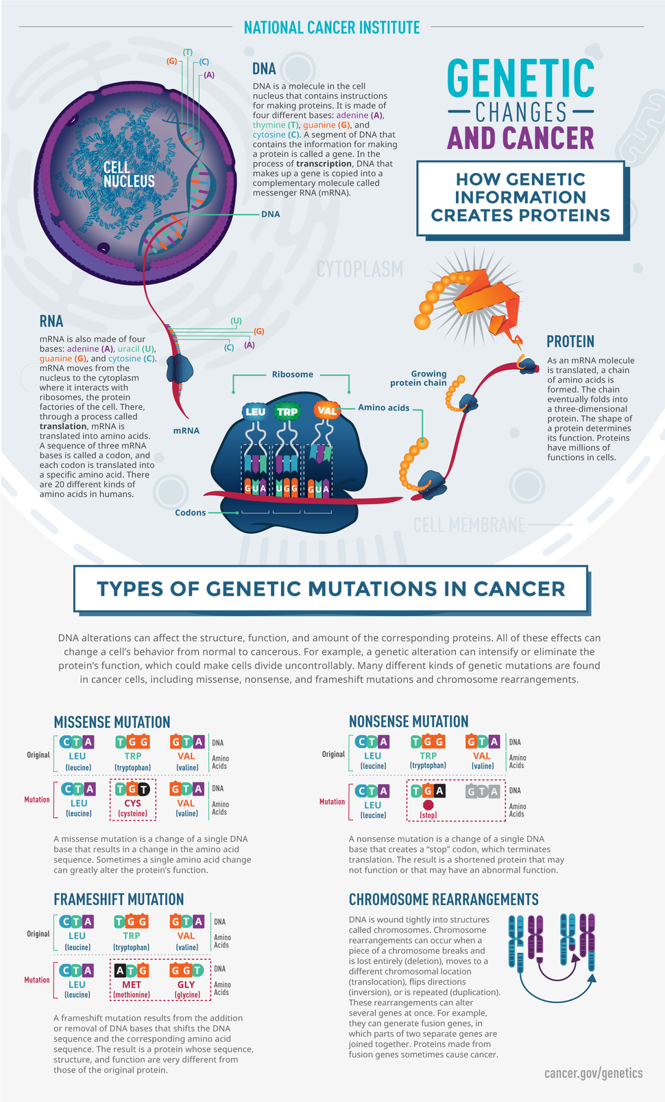 cancer cells genetic changes