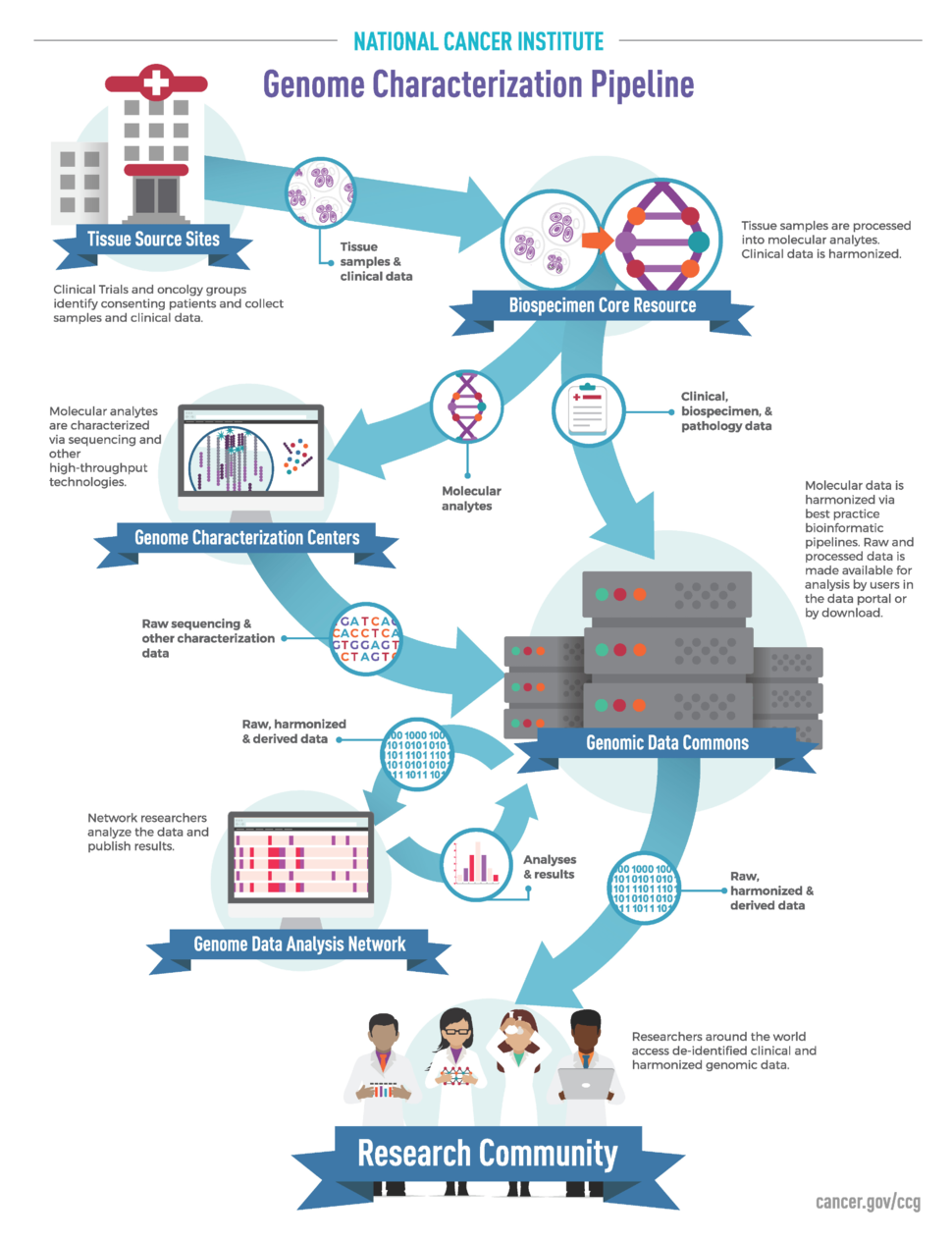 NCI Genome Characterization Pipeline. Shows the path from Tissue Source Sites to Biospecimen Core Resource to Genome characterization Centers or directly to Genomic Data Commons. Then to Genome Data Analysis and back to Genomic Data Commons  and then onto Research Community.