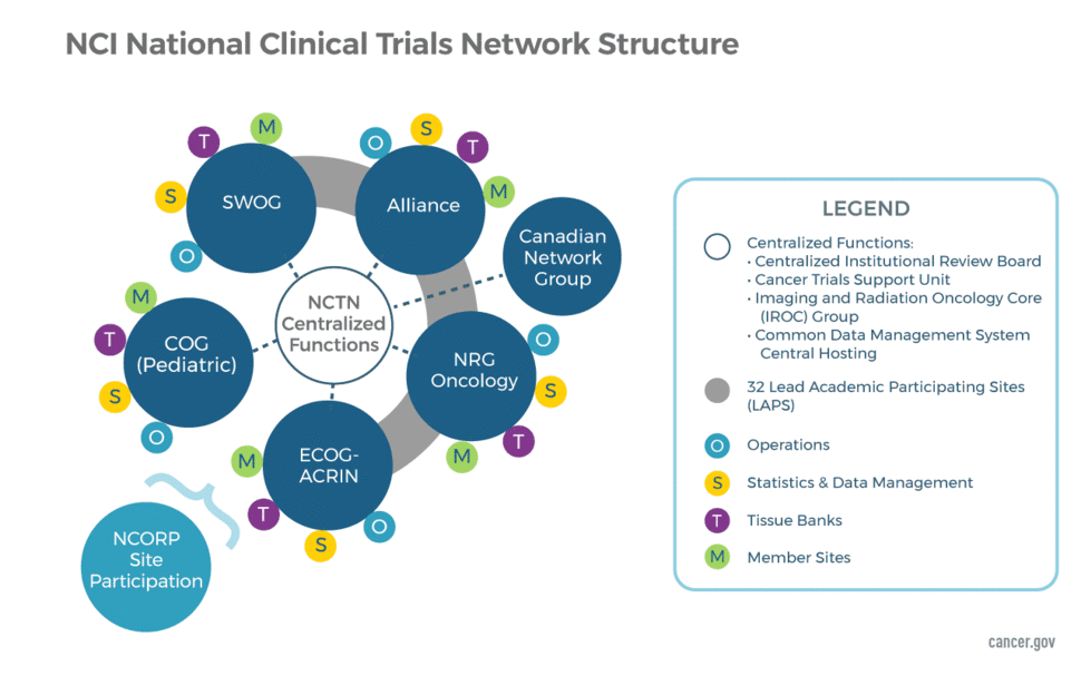 Diagram showing the NCTN groups, the network research support services, regulatory and administrative support, and members of the NCTN Groups.
