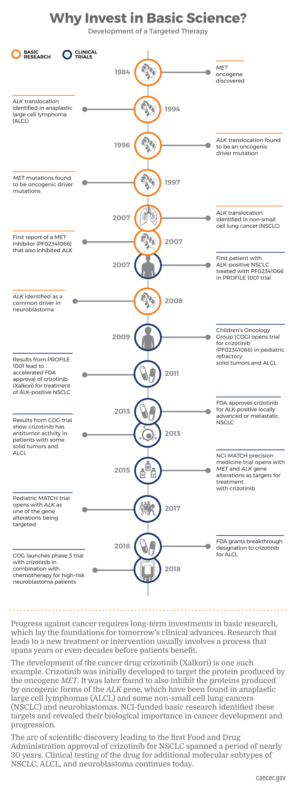 Why we should invest in basic Science? It lists the development of a targeted therapy. Infographic shows the basic research steps and clinical trials to develop cancer drug crizotinib. Shows steps from 1984 when MET oncogene was discovered; 1997 when MET mutations found to be oncogenic driver mutations; 2007 when first report of a MET inhibitor and first patient treated; 2009 when Childrens’s Oncology Group (COG) opens trial for crizotinib; 2013 FDA approves crizotinib; through 2018 when FDA grants breakthr