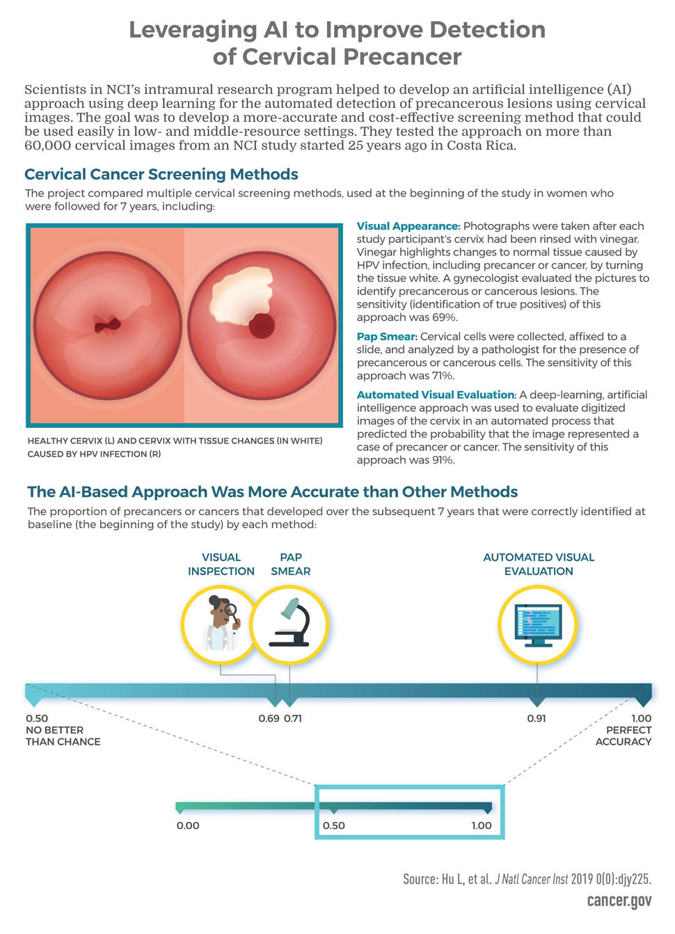 This infographic illustrates how researchers are leveraging artificial intelligence (AI) to improve the detection of cervical precancer. In an NCI study in Costa Rica, an AI-based screening approach called automated visual evaluation was more sensitive in detecting cervical precancers than visual evaluation and Pap smear.