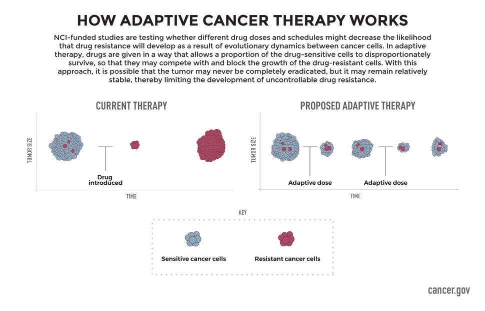 How Adaptive Cancer Therapy Works Infographic