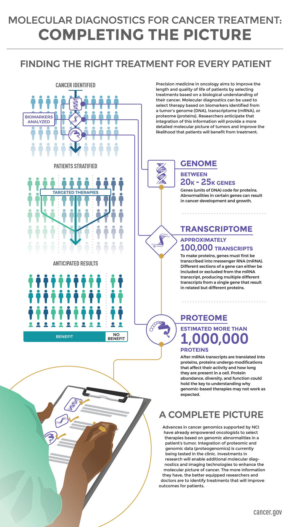 Molecular Diagnostics for Cancer Treatment: Completing the Picture Infographic