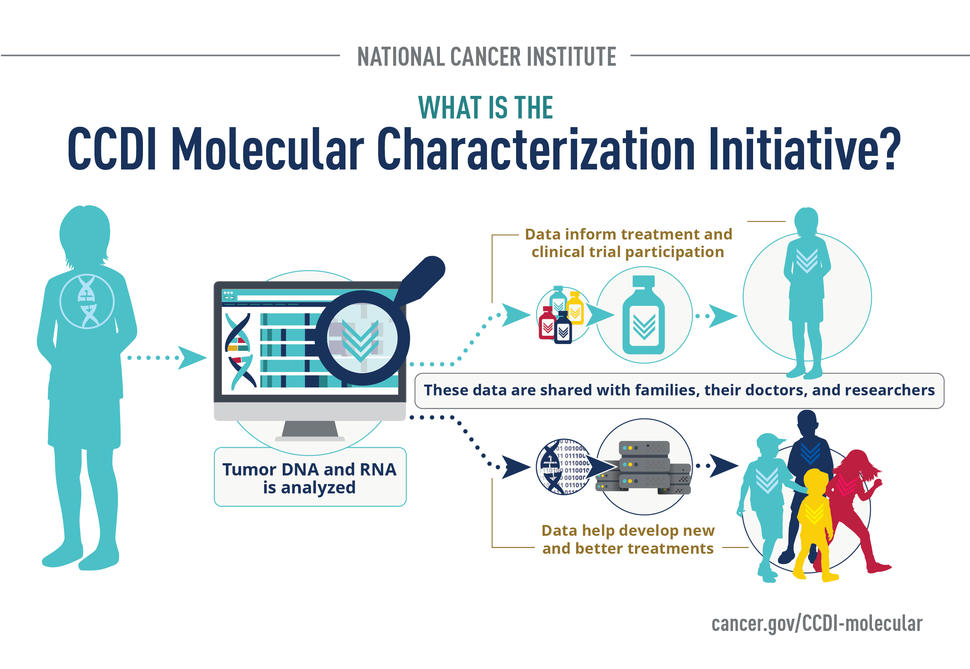 What is the CCDI Molecular Characterization Initiative Infographic