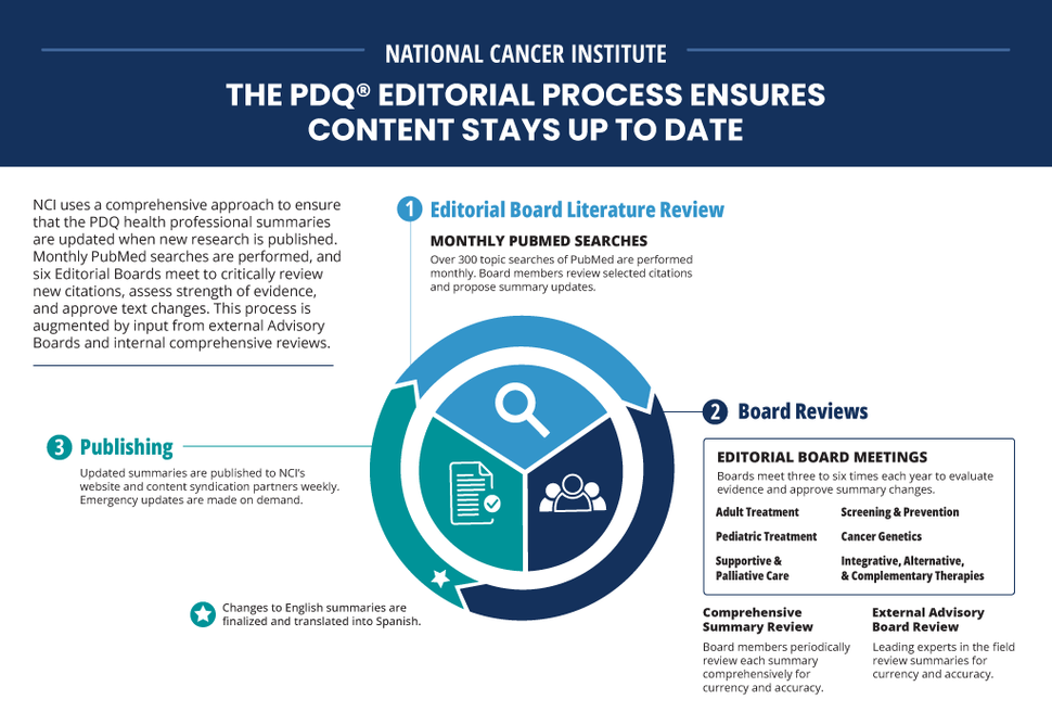 An infographic depicting the PDQ Editorial Board Process