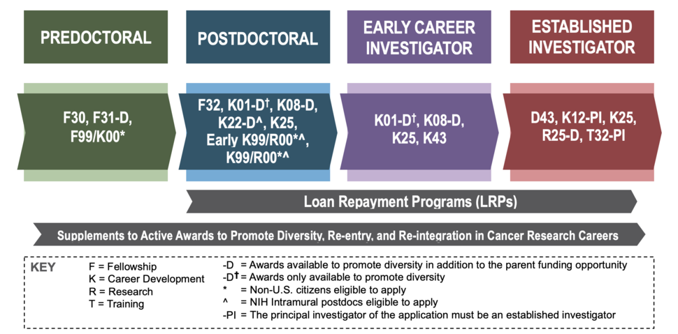 NCI CCT Infographic