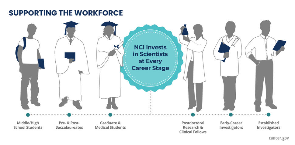 Supporting the workforce. NCI invests in scientist at every career stage. That includes Middle/High-School Students, Pre- & Post-Baccalaureates, Graduate & Medical Students, Postdoctoral Research & Clinical Fellows, Early-Career Investigators, and Established Investigators.