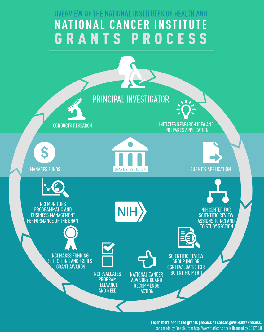 This infographic shows the steps in the National Institutes of Health and National Cancer Institute Grants Process. The graphic shows which steps are done by the Principle Investigator, Grantee Institution, and by NIH. The process is represented by a circular flow of steps. Starting from the top and reading clockwise: The Principal Investigator: initiates research Idea and Prepares Application; The Grantee Institution: submits application; NIH: NIH Center For Scientific Review, Assigns To NCI And To Study S
