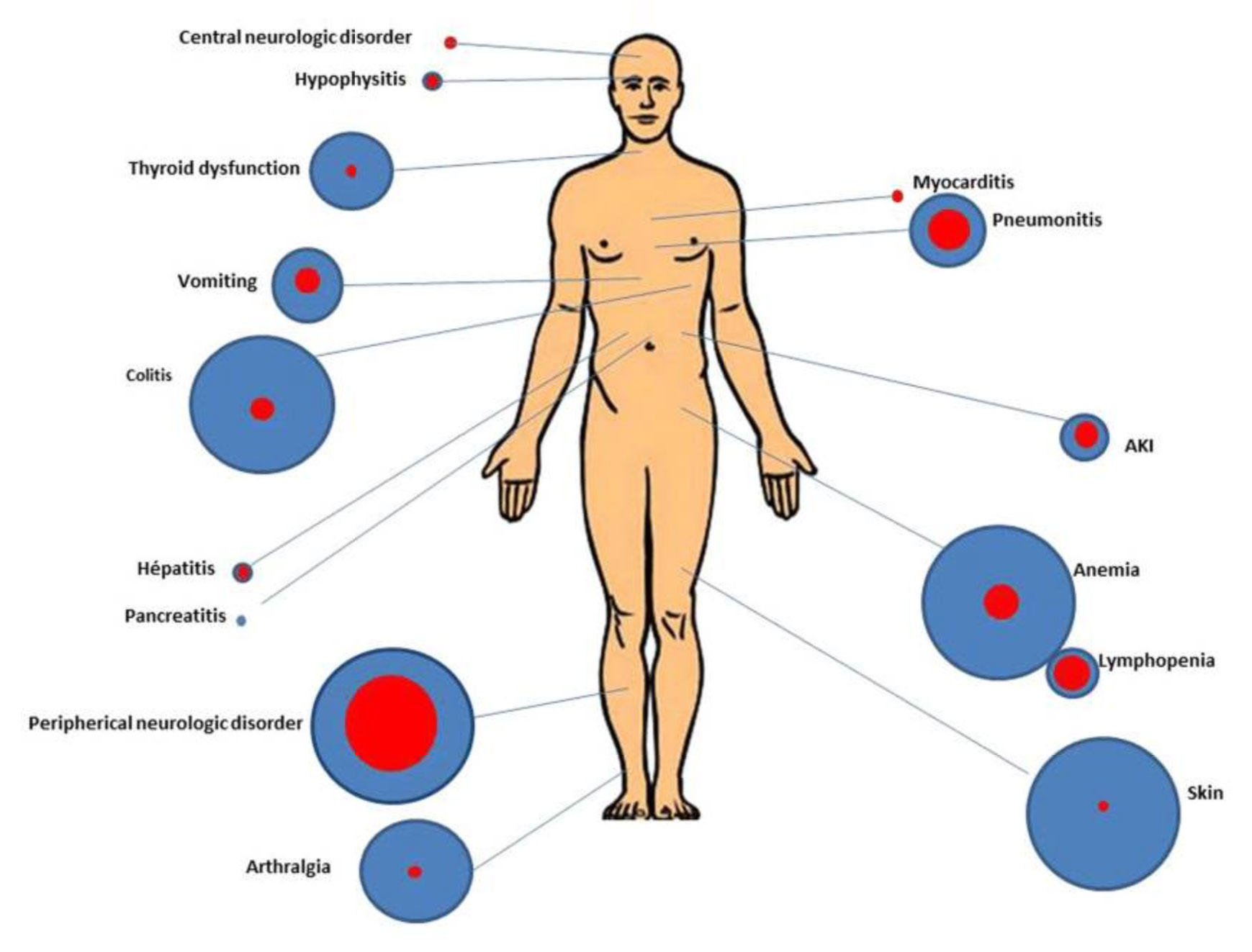 Body scanners that detect contraband arrive in some South Carolina