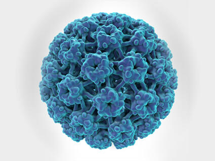 drawing of an HPV cell