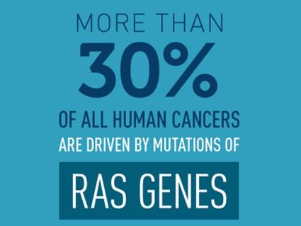 More than 30% of all human cancers are driven by mutations in RAS genes.
