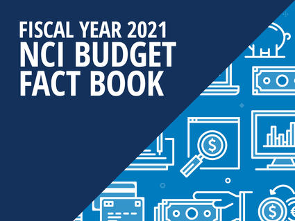 2021 NCI Budget Fact Book Graphic