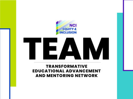 Transformative Educational Advancement and Mentoring Network (TEAM)