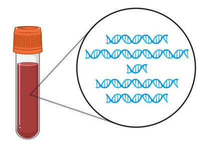Two tubes of blood with zoom-ins showing DNA fragments. 