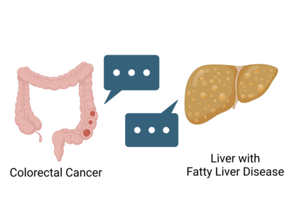 Icon of a colon with three tumors on the right side. A message bubble with three dots points from the colon tumors. On the other side, an icon of a yellowish liver with a message bubble coming from it.