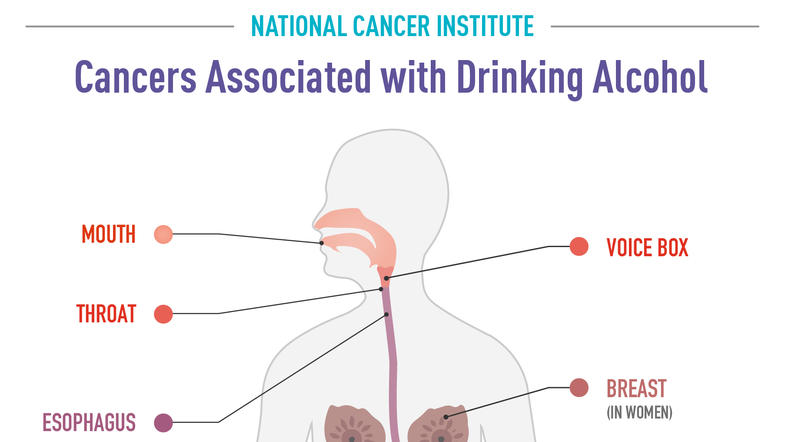 Cancers Associated with Drinking Alcohol Infographic