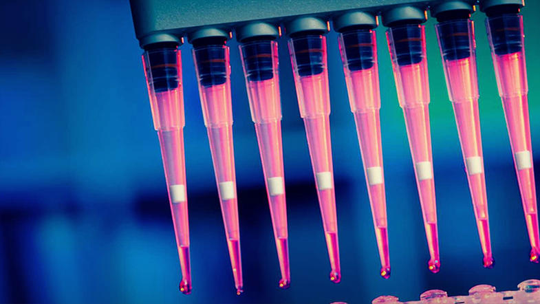 Image of eight red multi-pipettes against a blue background