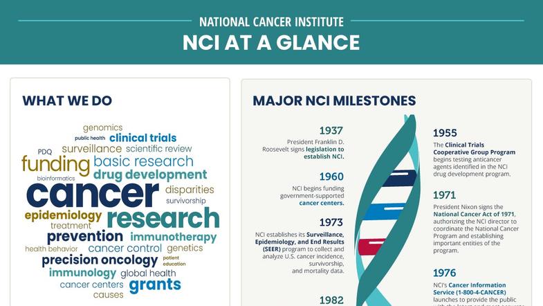 Preview of infographic about NCI's work, budget, and historical milestones.