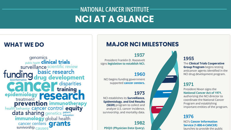 An overview of NCI's historical milestones, funding process, training efforts, and the NCI-designated cancer centers. NCI's work includes genomics, public health, clinical trials, surveillance, scientific review, basic research, funding, drug development, disparities research, survivorship research, and more. Funds available to the NCI in FY 2023 totaled $7.3 billion. NCI invests in scientists at every education and career stage from middle and high school students through established investigators.