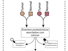 diagram showing cancer-associated proteins