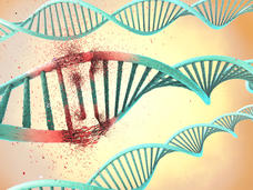 Illustration of a damaged DNA double helix.