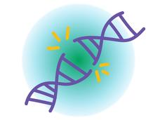 Breaking DNA strand