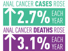 Anal cancer cases rose 2.7% and anal cancer deaths rose 3.1% each year between 2001 and 2015.