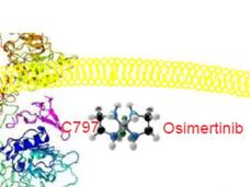 A structural illustration showing osimertinib binding to the EGFR protein.