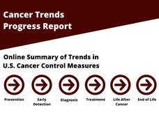 Text graphic saying Cancer Trends Progress Report, Online Summary of Trends in U.S. Cancer Control Measures from prevention to end of life.