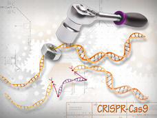 Wrench and socket on a graphic of DNA