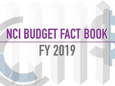2019 NCI Budget Fact Book Graphic