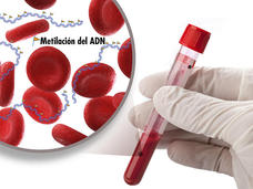 Una persona sostiene un tubo de sangre con una ilustración ampliada de la metilación del ADN